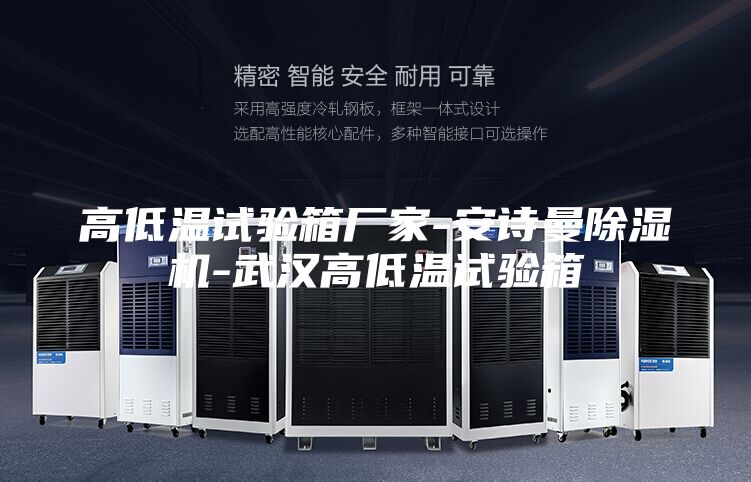 高低温试验箱厂家-安诗曼除湿机-武汉高低温试验箱