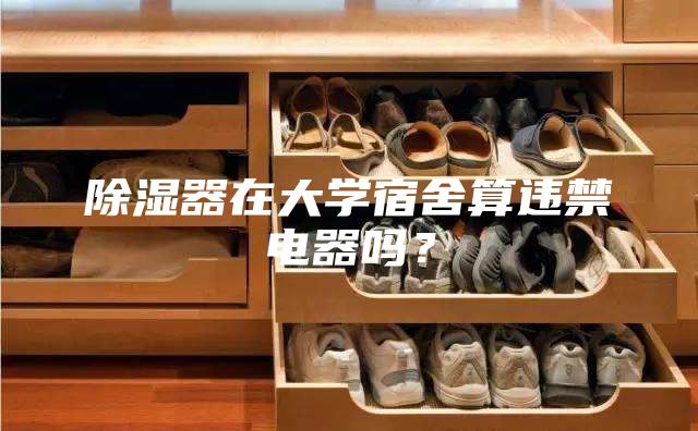 除湿器在大学宿舍算违禁电器吗？