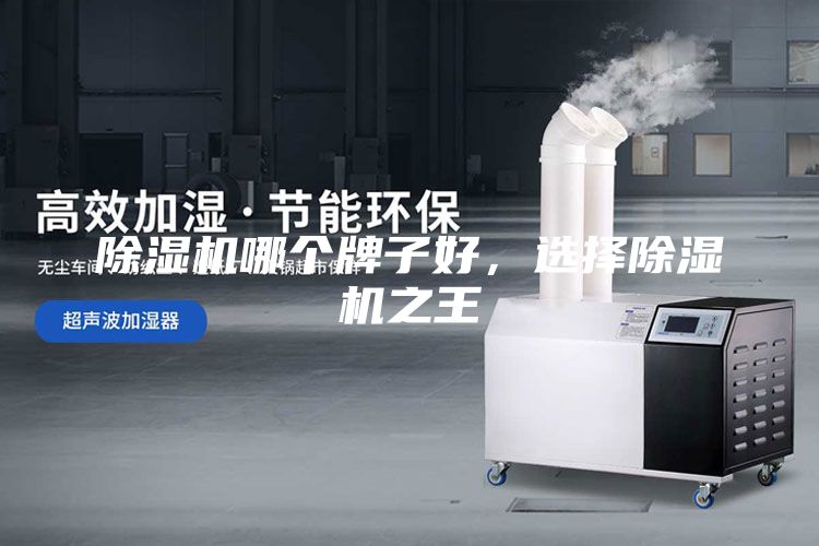 除湿机哪个牌子好，选择除湿机之王