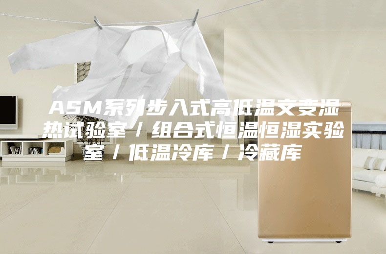 ASM系列步入式高低温交变湿热试验室／组合式恒温恒湿实验室／低温冷库／冷藏库