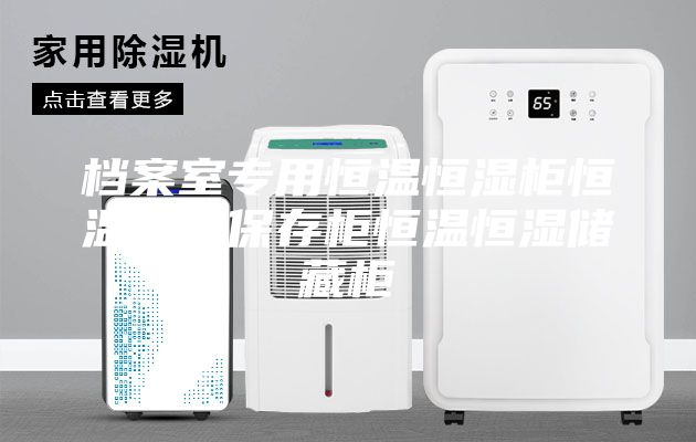 档案室专用恒温恒湿柜恒温恒湿保存柜恒温恒湿储藏柜