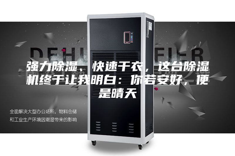 强力除湿、快速干衣，这台除湿机终于让我明白：你若安好，便是晴天