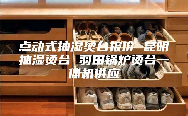 点动式抽湿烫台报价 昆明抽湿烫台 羽田锅炉烫台一体机供应