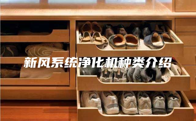 新风系统净化机种类介绍