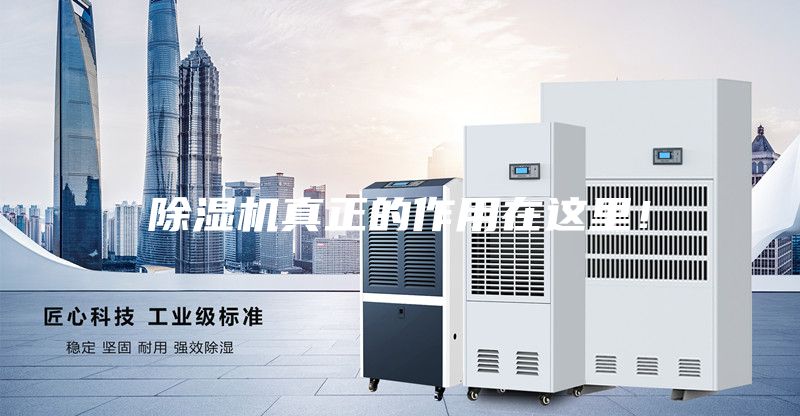 除湿机真正的作用在这里！