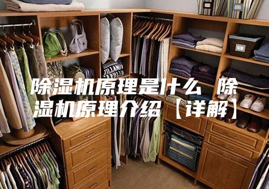 除湿机原理是什么 除湿机原理介绍【详解】