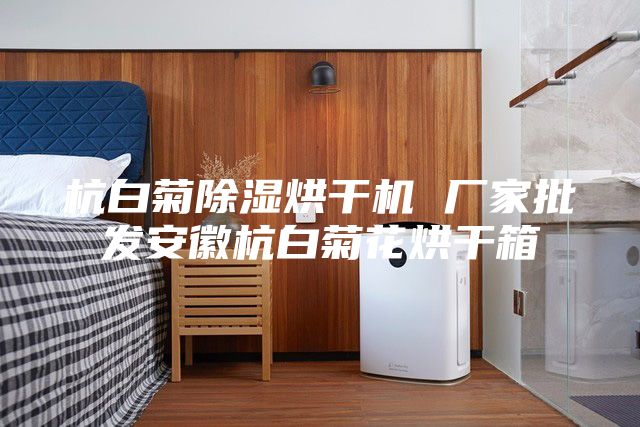 杭白菊除湿烘干机 厂家批发安徽杭白菊花烘干箱