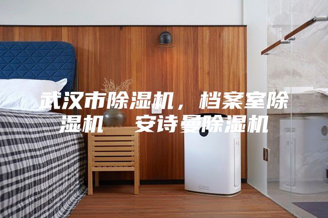 武汉市除湿机,档案室除湿机 安诗曼除湿机