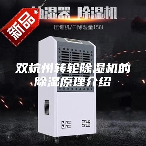 双杭州转轮除湿机的除湿原理介绍