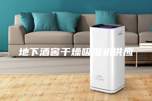 地下酒窖干燥吸湿机供应