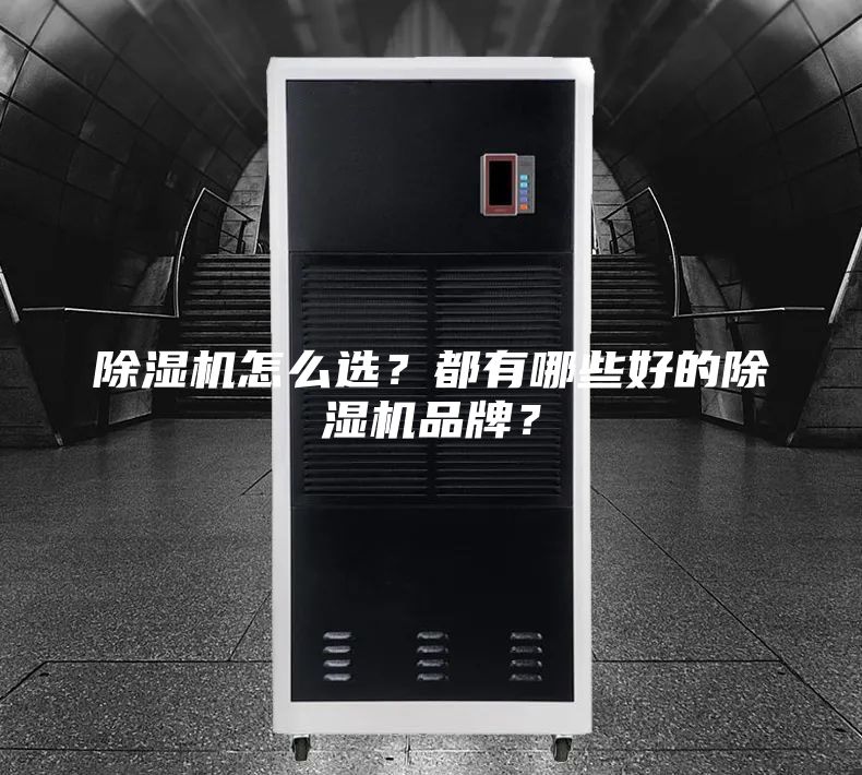 除湿机怎么选？都有哪些好的除湿机品牌？