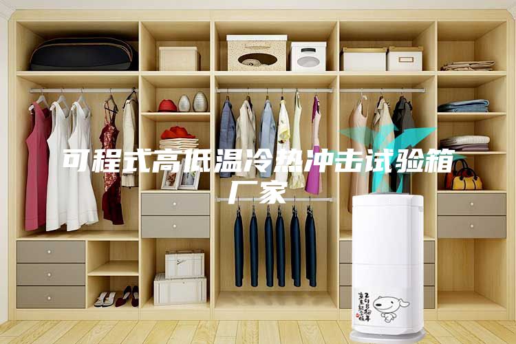 可程式高低温冷热冲击试验箱厂家