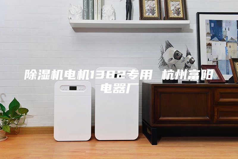 除湿机电机1382专用 杭州富阳电器厂