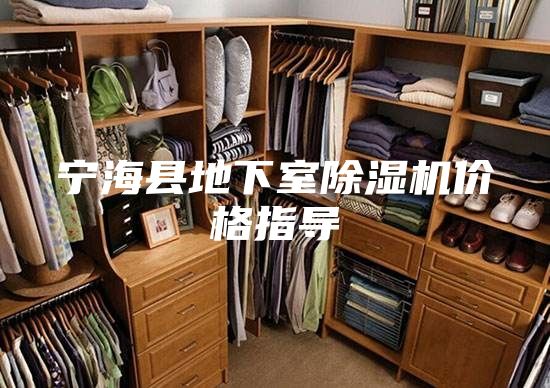 宁海县地下室除湿机价格指导