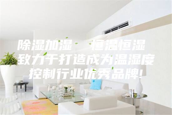除湿加湿 恒温恒湿 致力于打造成为温湿度控制行业优秀品牌!