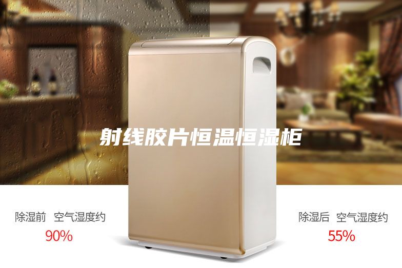 射线胶片恒温恒湿柜