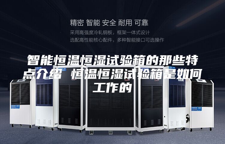 智能恒温恒湿试验箱的那些特点介绍 恒温恒湿试验箱是如何工作的