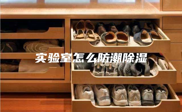实验室怎么防潮除湿