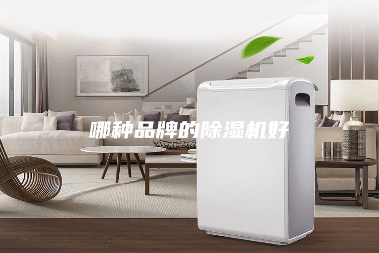 哪种品牌的除湿机好