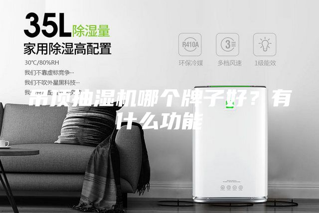 吊顶抽湿机哪个牌子好？有什么功能
