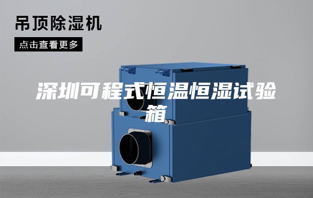 深圳可程式恒温恒湿试验箱