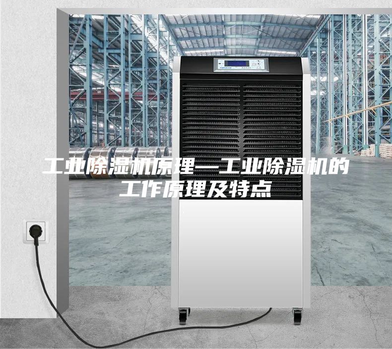 工业除湿机原理—工业除湿机的工作原理及特点