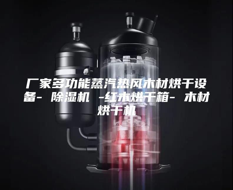 厂家多功能蒸汽热风木材烘干设备- 除湿机 -红木烘干箱- 木材烘干机