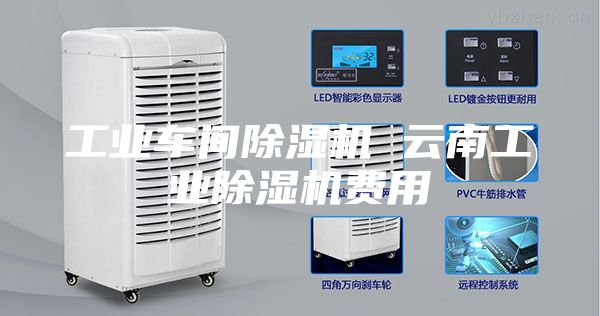 工业车间除湿机 云南工业除湿机费用