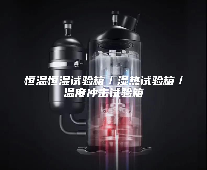 恒温恒湿试验箱/湿热试验箱/温度冲击试验箱