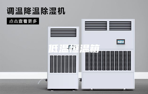 低温恒温箱
