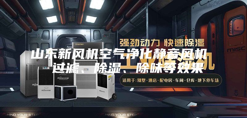 山东新风机空气净化静音风机  过滤、除湿、除味等效果