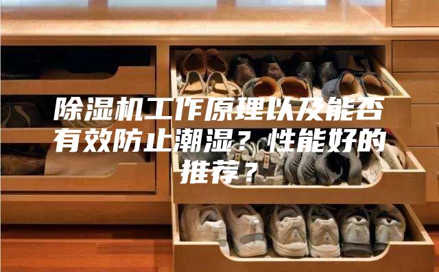 除湿机工作原理以及能否有效防止潮湿？性能好的推荐？