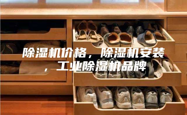 除湿机价格，除湿机安装，工业除湿机品牌