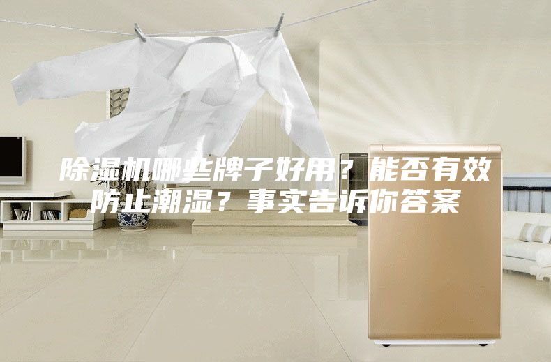 除湿机哪些牌子好用？能否有效防止潮湿？事实告诉你答案