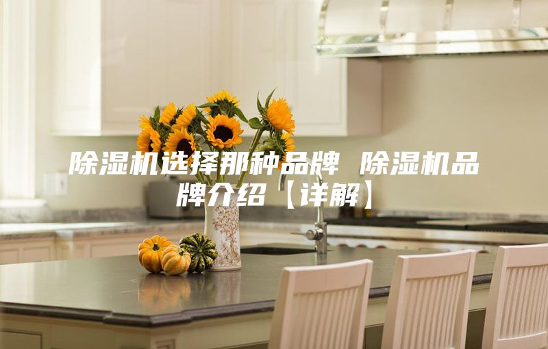 除湿机选择那种品牌 除湿机品牌介绍【详解】