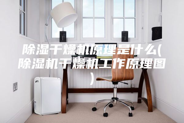 除湿干燥机原理是什么(除湿机干燥机工作原理图)