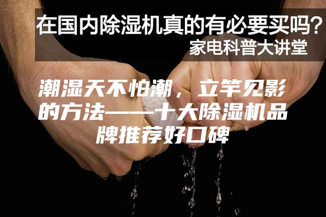潮湿天不怕潮，立竿见影的方法——十大除湿机品牌推荐好口碑
