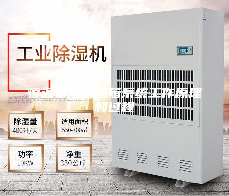 恒温恒湿试验箱系统工作原理和过程
