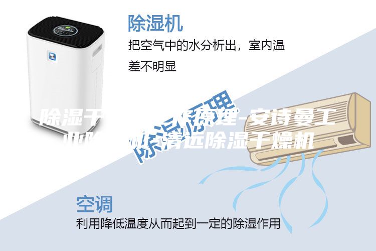 除湿干燥机工作原理-安诗曼工业除湿机-清远除湿干燥机
