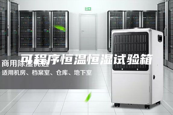 可程序恒温恒湿试验箱