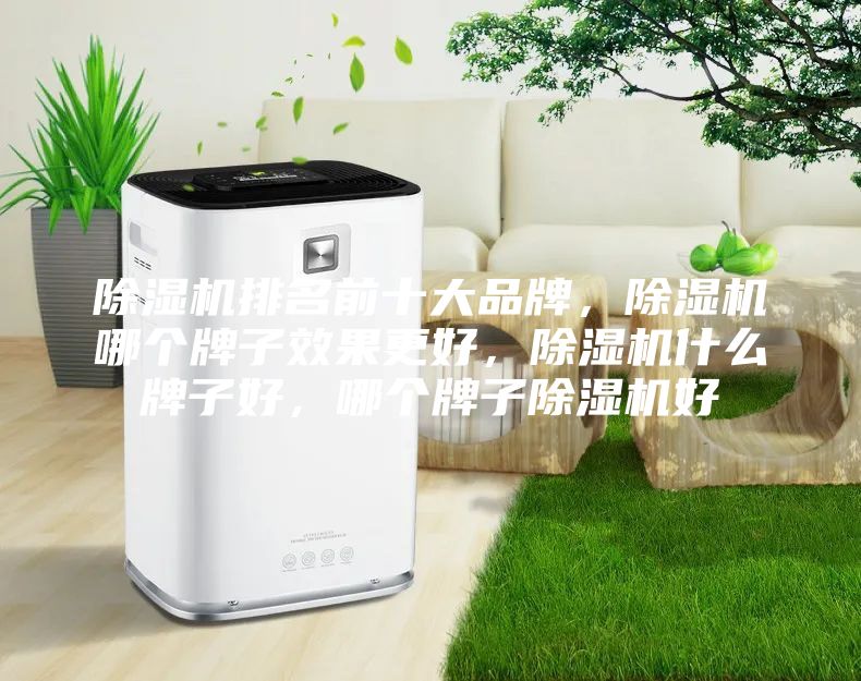 除湿机排名前十大品牌，除湿机哪个牌子效果更好，除湿机什么牌子好，哪个牌子除湿机好