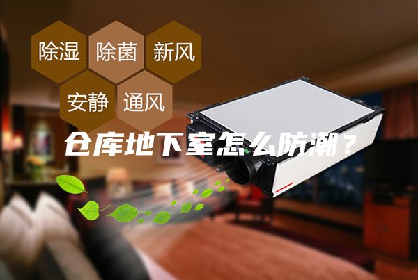 仓库地下室怎么防潮？