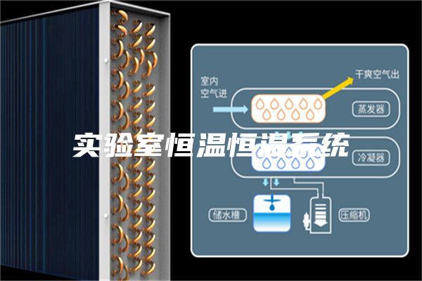 实验室恒温恒湿系统