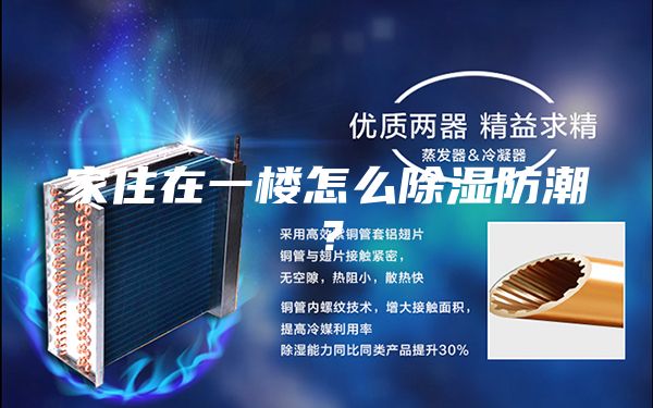 家住在一楼怎么除湿防潮？