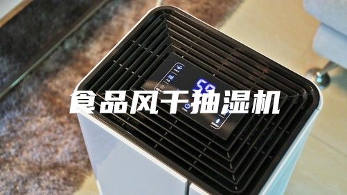 食品风干抽湿机