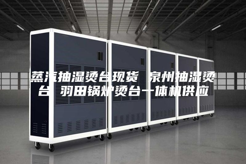 蒸汽抽湿烫台现货 泉州抽湿烫台 羽田锅炉烫台一体机供应
