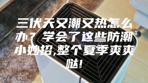 三伏天又潮又热怎么办？学会了这些防潮小妙招,整个夏季爽爽哒!