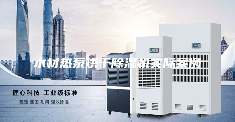 木材热泵烘干除湿机实际案例