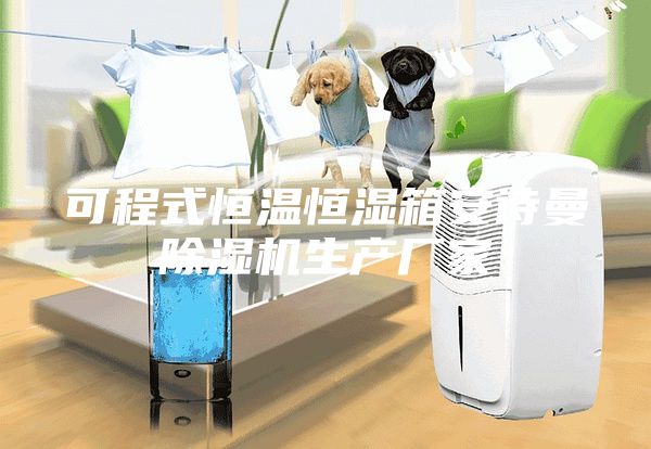 可程式恒温恒湿箱安诗曼除湿机生产厂家