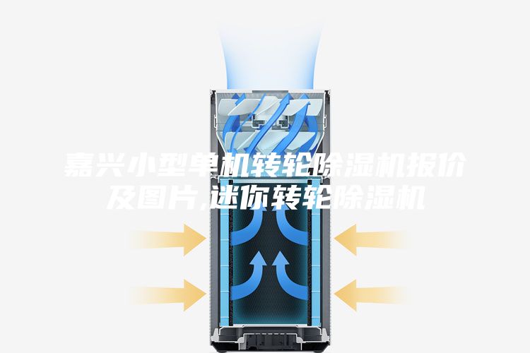 嘉兴小型单机转轮除湿机报价及图片,迷你转轮除湿机